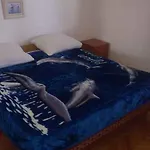 In Starigrad-paklenica 6806