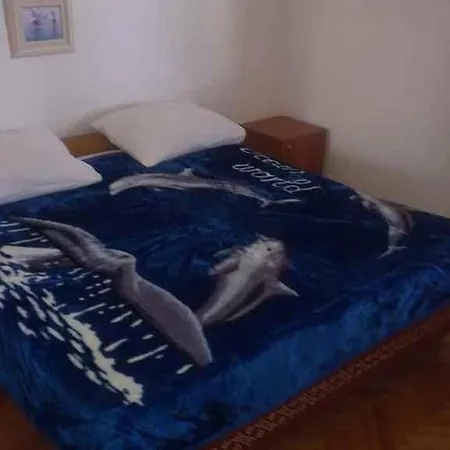 In Starigrad-paklenica 6806
