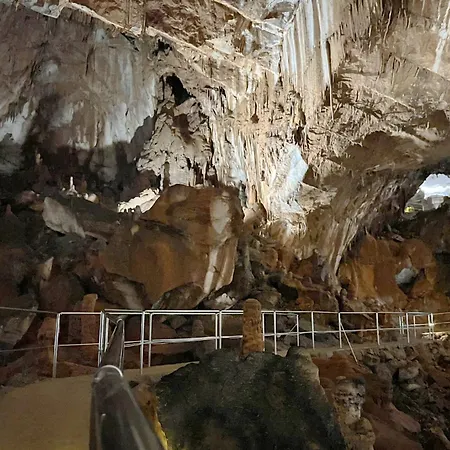 In Starigrad-paklenica 6806