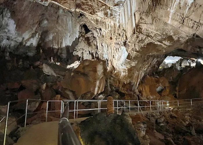 In Starigrad-paklenica 6806