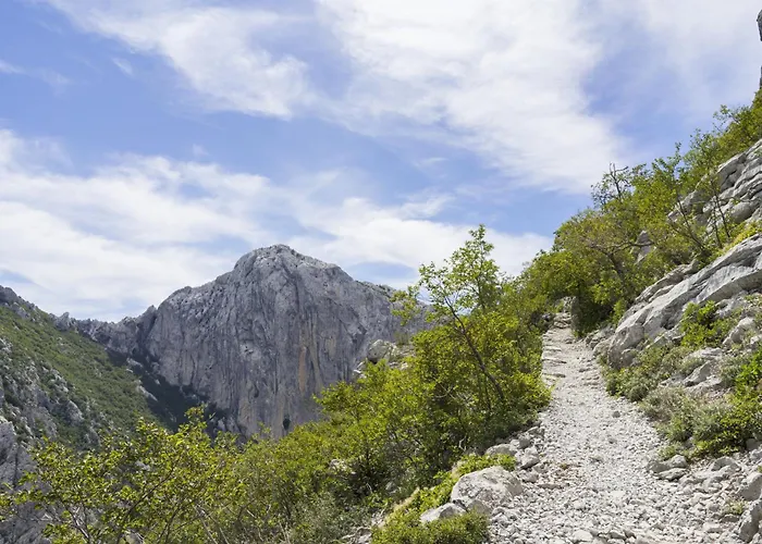 公寓 In Starigrad-paklenica 6806