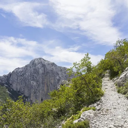 아파트 In Starigrad-paklenica 6806